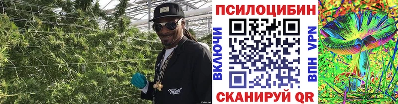 kraken вход  Оханск  Галлюциногенные грибы мицелий 